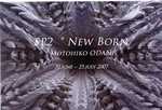 NEW BORN01.jpg