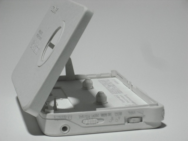 106Manabu_Kosaka2020.jpg