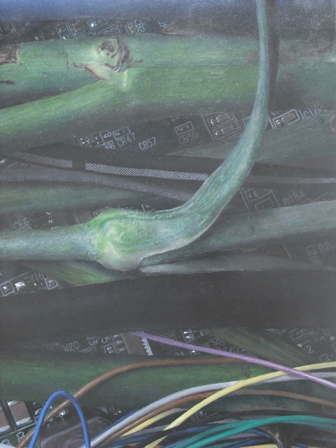 15StillLife2019_paper_works.jpg