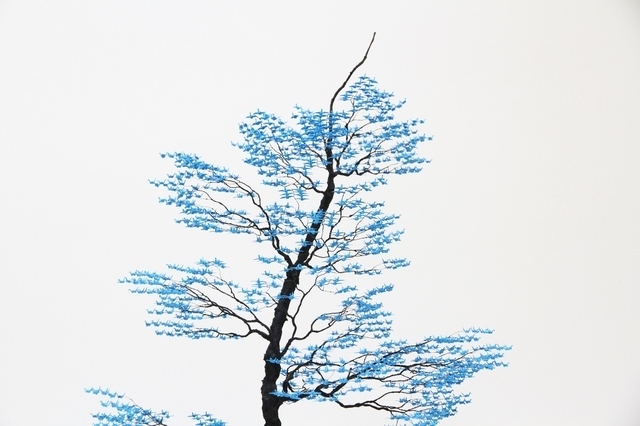 Ultramarine01.JPG
